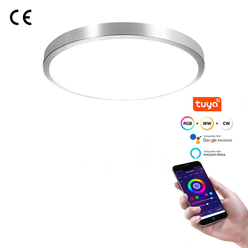 New Metal Smart Ceiling light Tuya Smart Control WiFi/ZigBee/Bluetooth