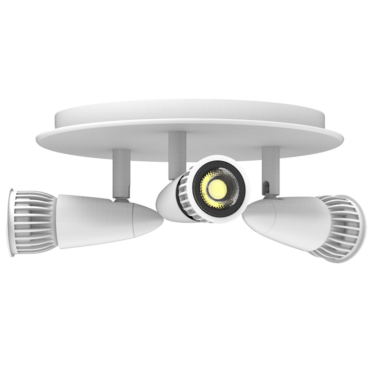 CDL-3A Surface Downlight